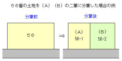 Ql}FynMoL